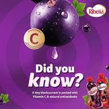 Ribenna blackcurrant rich in vitamin